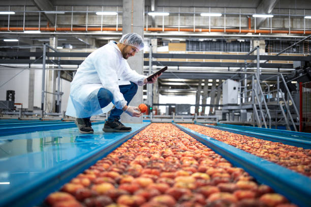 Food manufacturing worker in full PPE inspecting production line with tablet for quality control and compliance